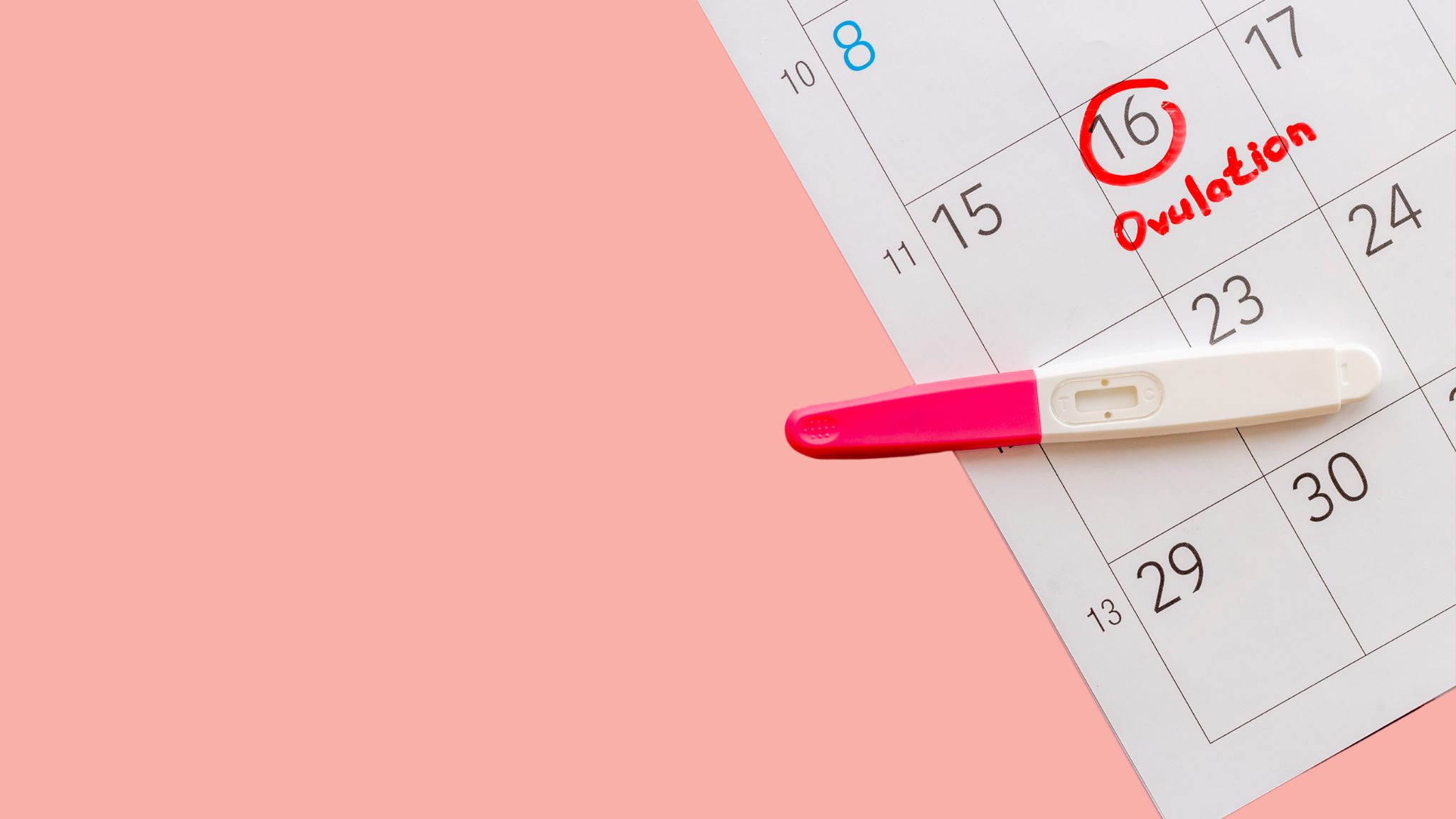 Pelvic floor care for pregnancy & postpartum