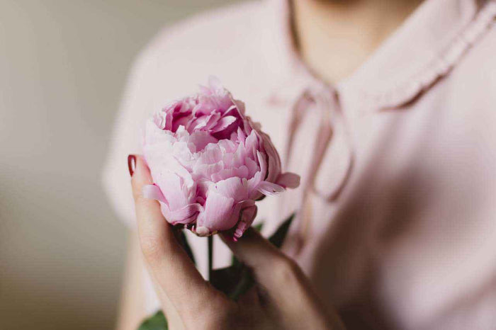 Woman in pink blouse gently holding a pink peony flower symbolizing understanding vaginismus and women's health awareness